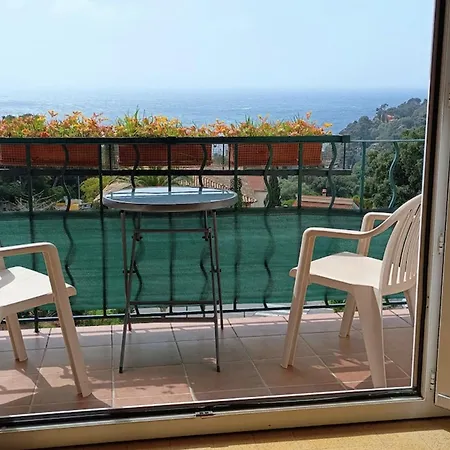 With Terraces In *
