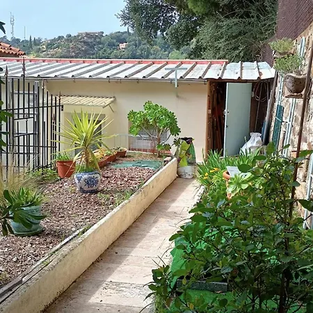 With Terraces In *