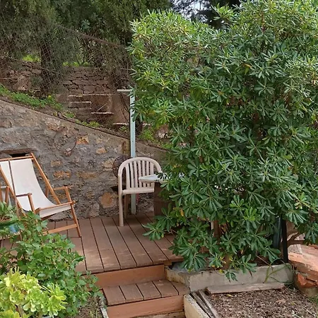 With Terraces In Apartment Rayol-Canadel-sur-Mer