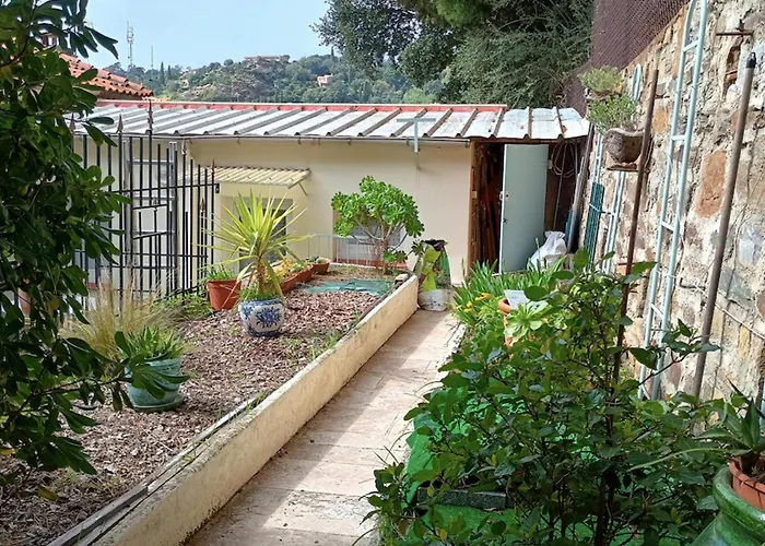 With Terraces In *
